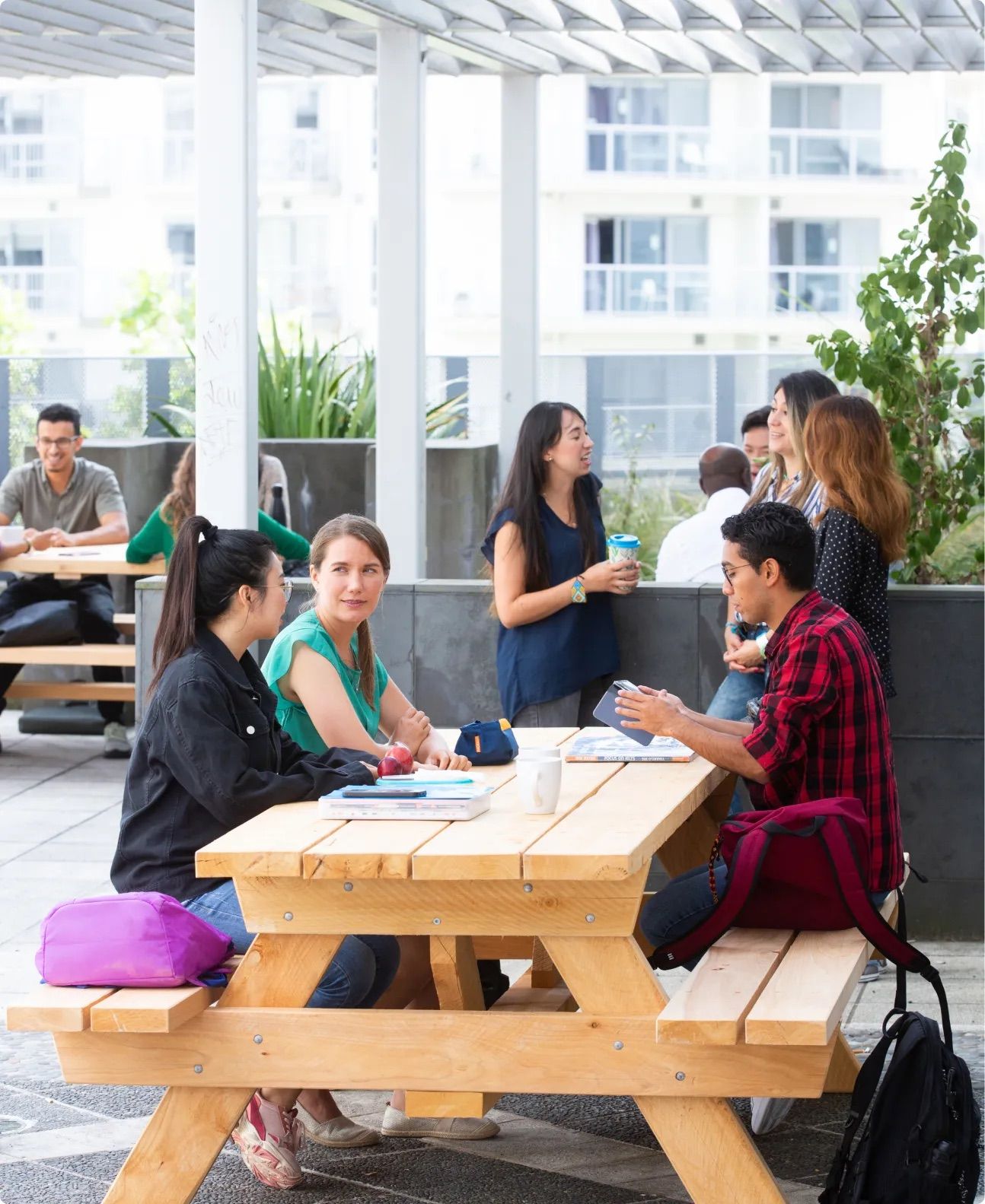 University of Auckland English Language Academy