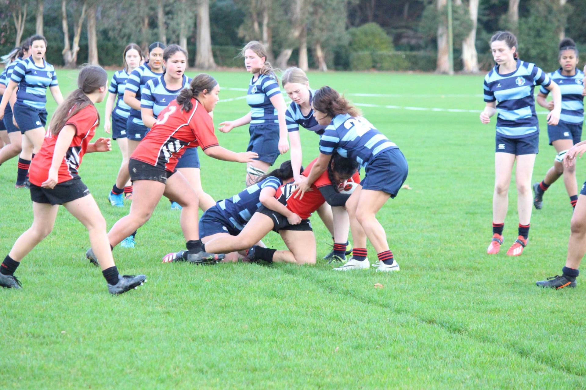Palmerston North Girls' High School