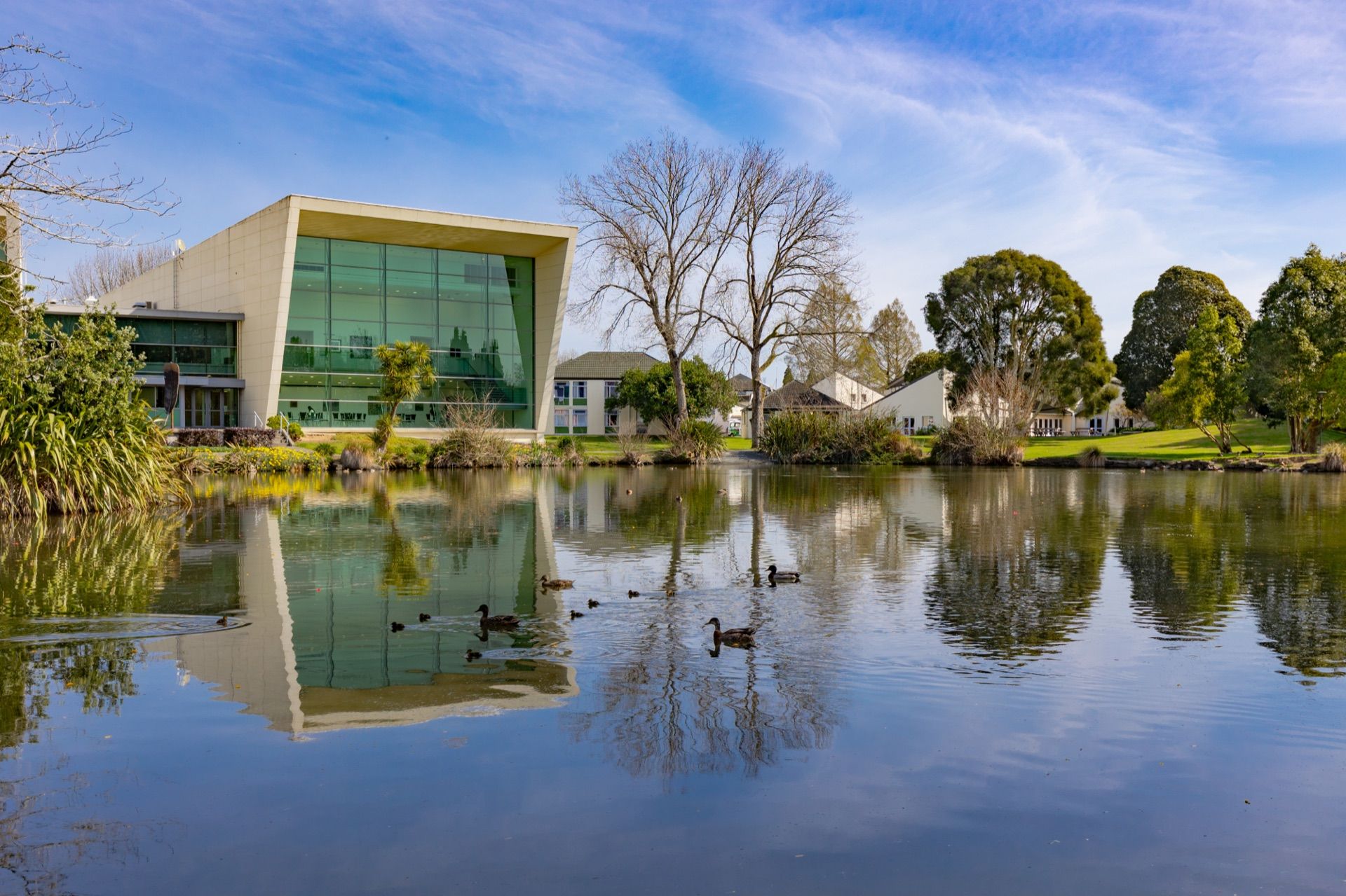 The University of Waikato