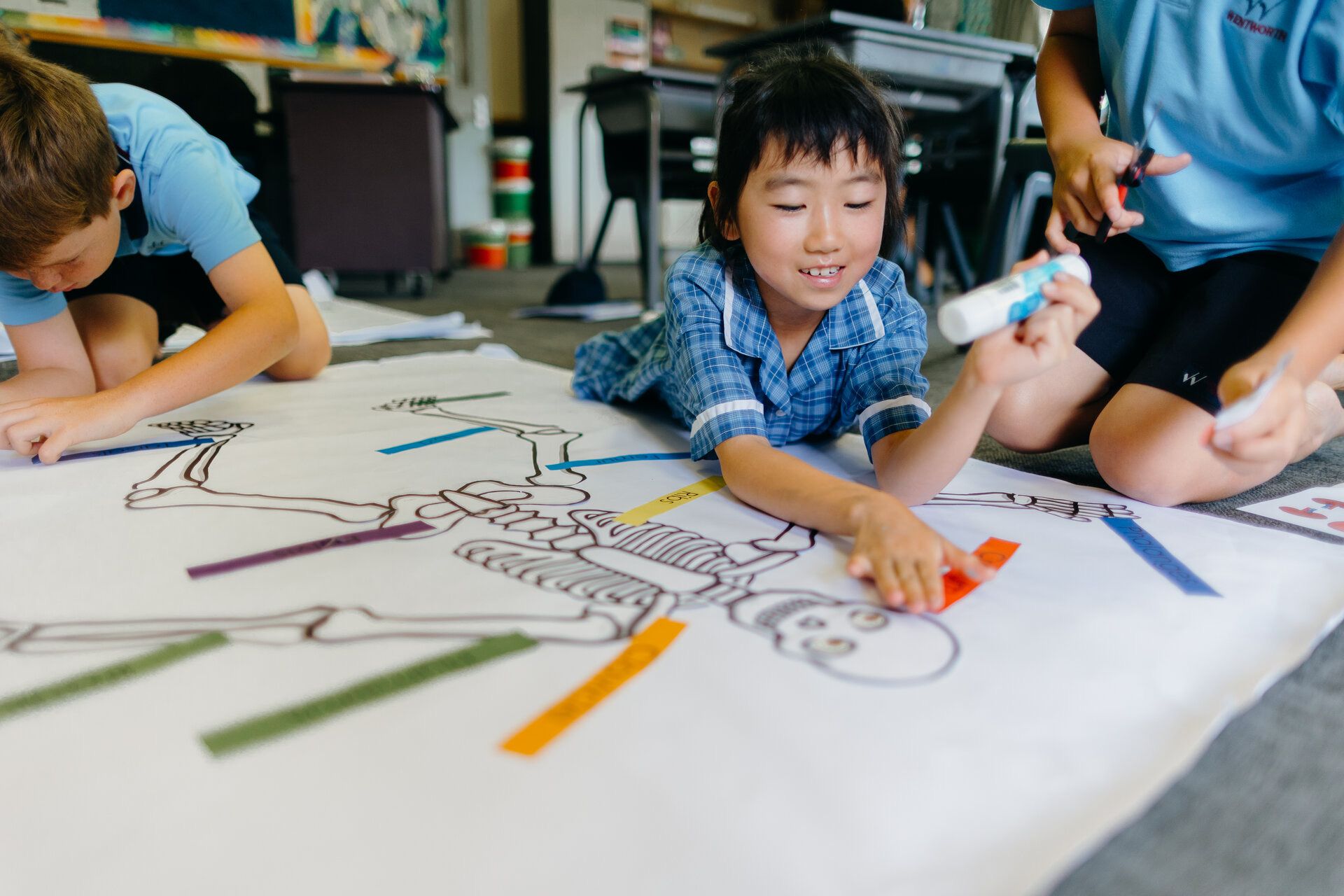 Wentworth College & Primary