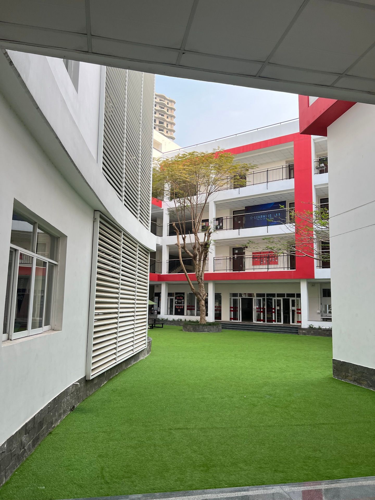 The Canadian International School